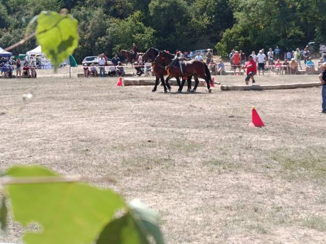 IMG_20260808_134633